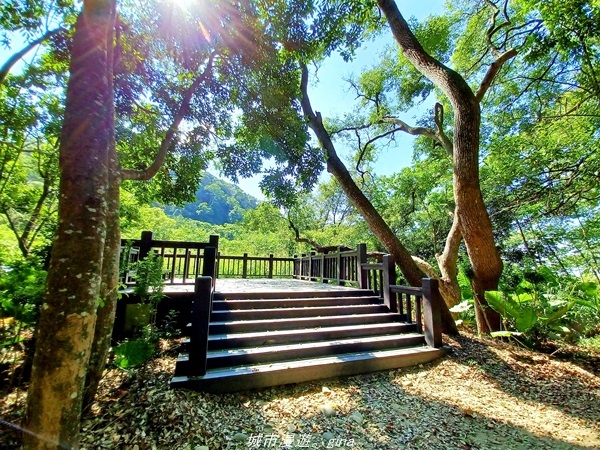 20211106_114220.jpg 20211106_114220.jpg