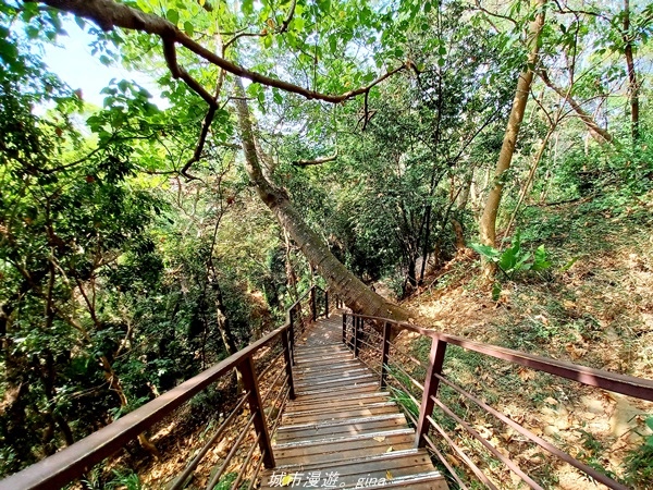 20211106_122326.jpg 20211106_122326.jpg