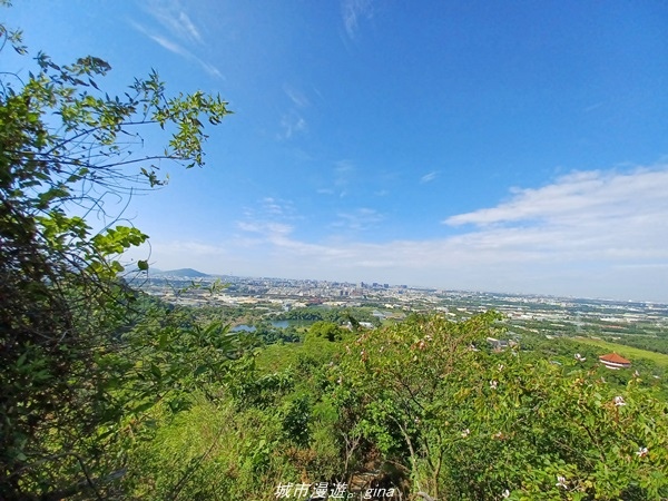 【高雄大社】假日踏青好去處。 小百岳集起來。 No75小百岳