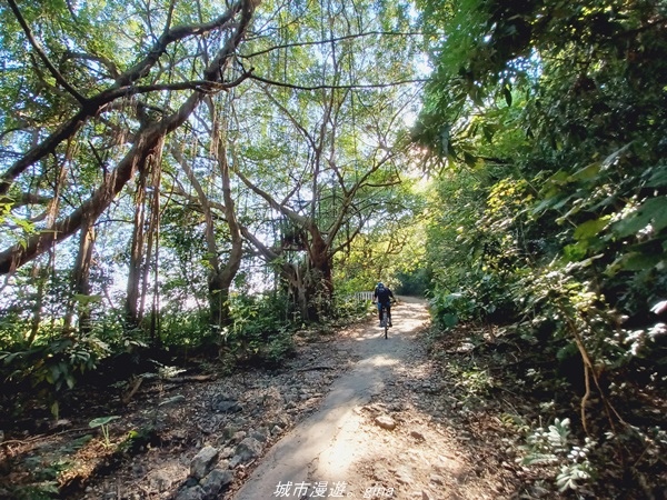 【高雄鼓山】高雄最大的一塊自然林地。 小百岳集起來。 No7