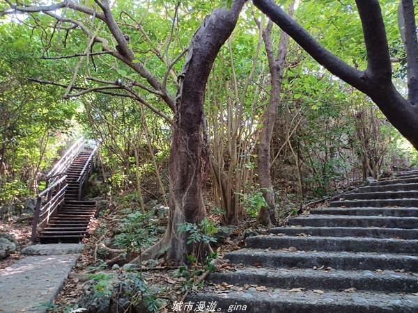 【高雄鼓山】高雄最大的一塊自然林地。 小百岳集起來。 No7