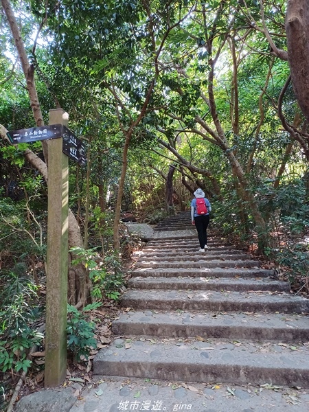 【高雄鼓山】高雄最大的一塊自然林地。 小百岳集起來。 No7