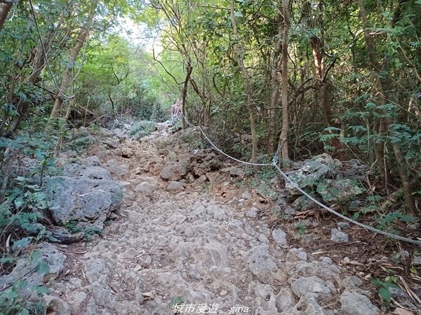 【高雄鼓山】高雄最大的一塊自然林地。 小百岳集起來。 No7