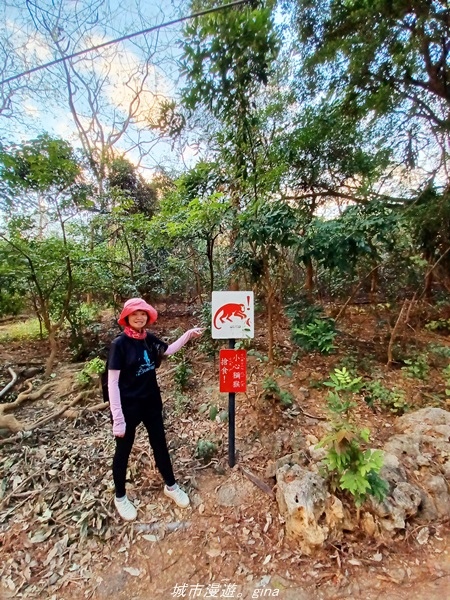 【高雄鼓山】高雄最大的一塊自然林地。 小百岳集起來。 No7