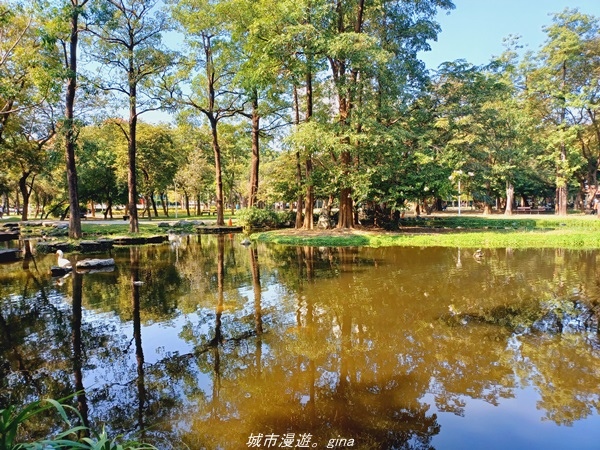 【高雄鳳山新興】捷運小旅行~迷你版忘憂森林大東濕地步道x光之