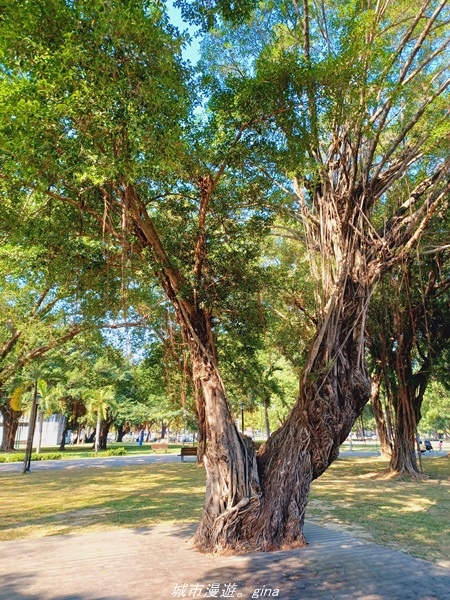 20211114_102656.jpg 20211114_102656.jpg