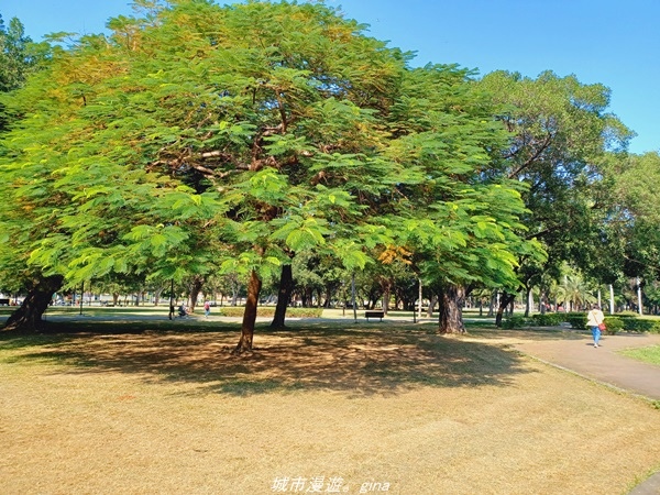 20211114_102742.jpg 20211114_102742.jpg