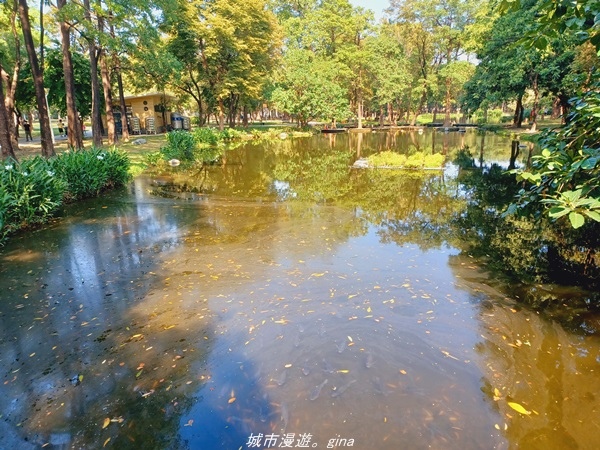 20211114_103053.jpg 20211114_103053.jpg