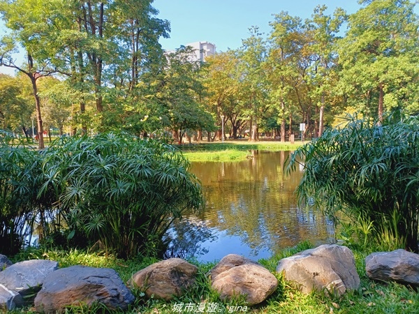 20211114_103915.jpg 20211114_103915.jpg