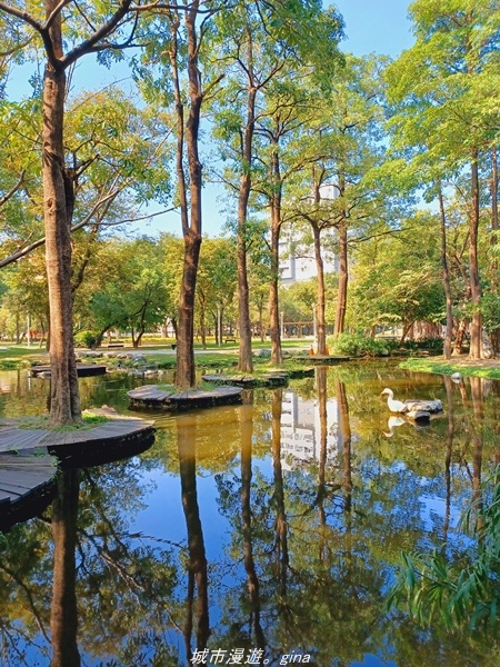 20211114_103511.jpg 20211114_103511.jpg