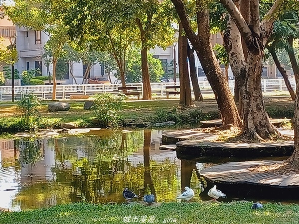 20211114_104341.jpg 20211114_104341.jpg