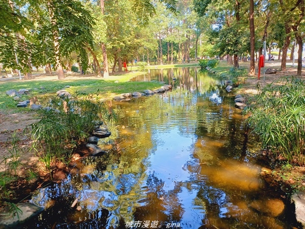 20211114_104049.jpg 20211114_104049.jpg