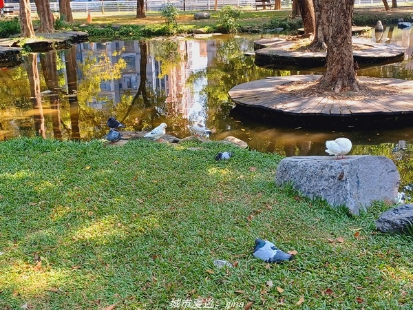 20211114_104357.jpg 20211114_104357.jpg