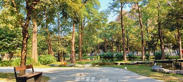 20211114_104630.jpg 20211114_104630.jpg