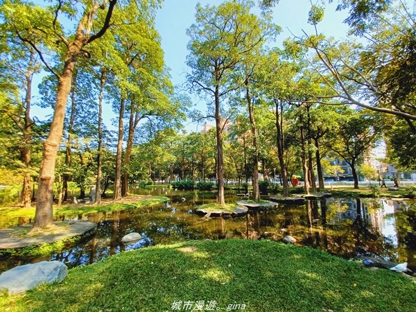 20211114_104411.jpg 20211114_104411.jpg