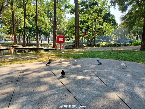 20211114_105303.jpg 20211114_105303.jpg