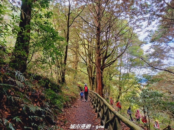 20211127_094000.jpg 20211127_094000.jpg