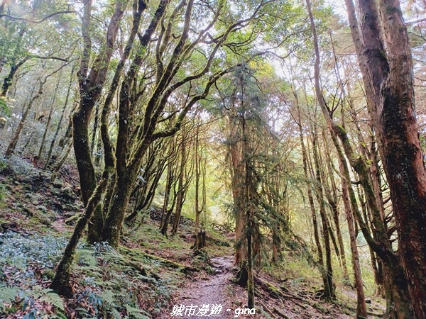 20211127_094003.jpg 20211127_094003.jpg