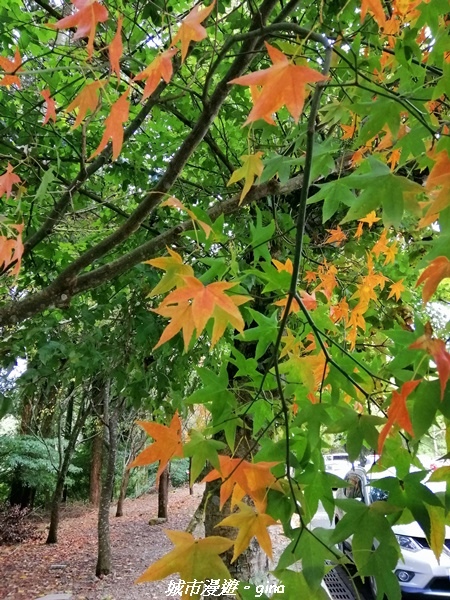 20211127_094832.jpg 20211127_094832.jpg