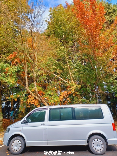 20211127_101147.jpg 20211127_101147.jpg