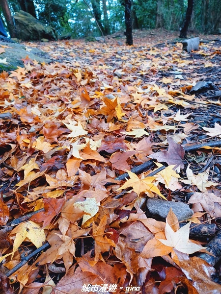 20211127_094829.jpg 20211127_094829.jpg