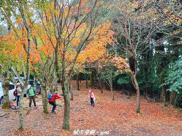 20211127_094830.jpg 20211127_094830.jpg