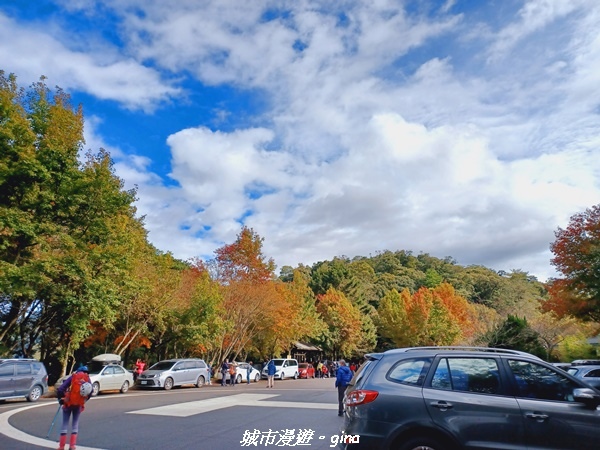 20211127_101257.jpg 20211127_101257.jpg