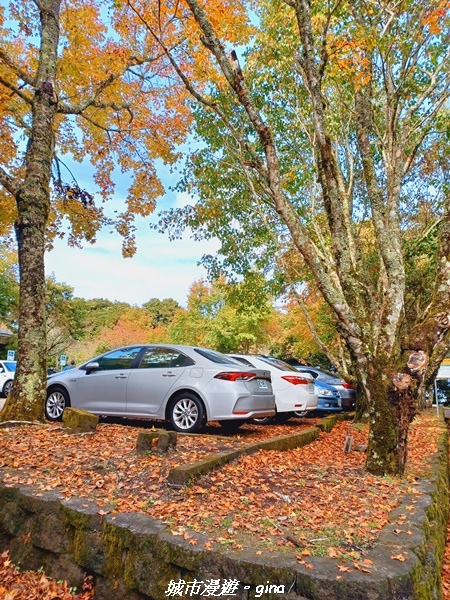 20211127_102413.jpg 20211127_102413.jpg