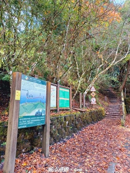 20211127_102430.jpg 20211127_102430.jpg