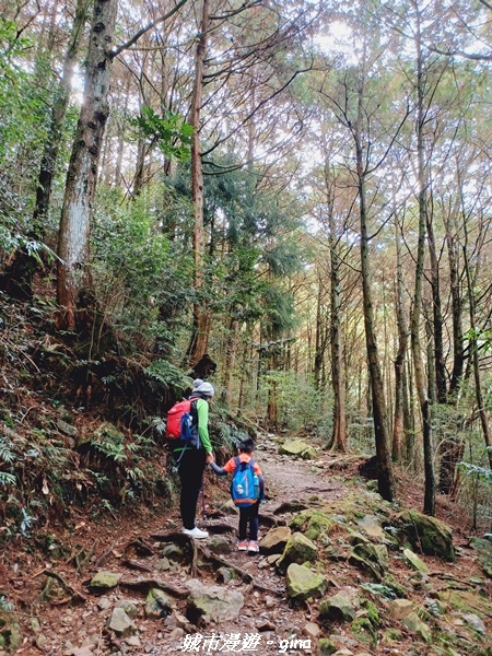 【台中和平】大手牽小手健行趣。No39小百岳稍來山