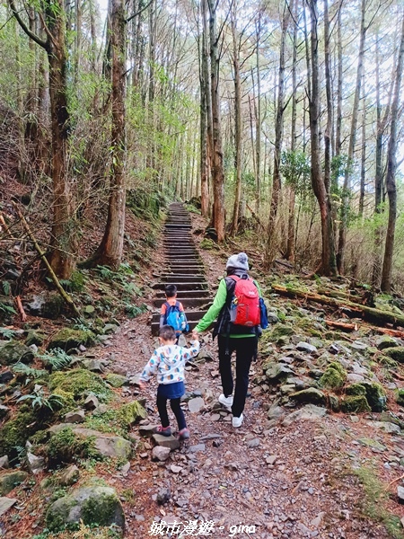 【台中和平】大手牽小手健行趣。No39小百岳稍來山