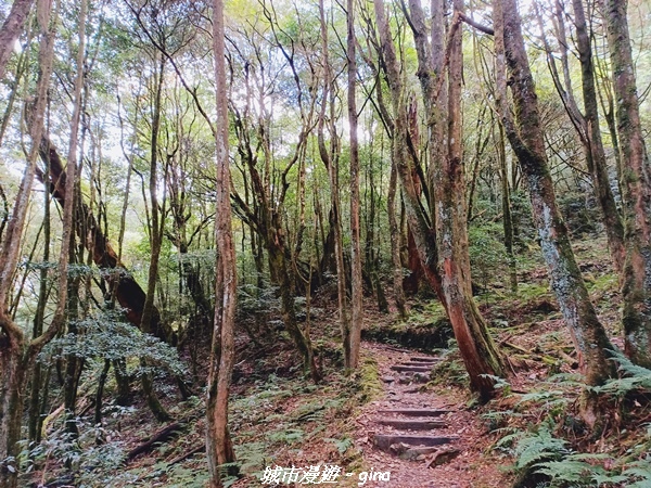 20211127_110530.jpg 20211127_110530.jpg