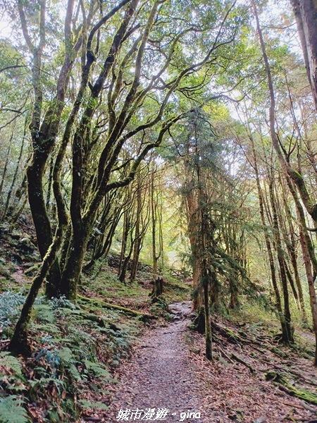 20211127_110952.jpg 20211127_110952.jpg