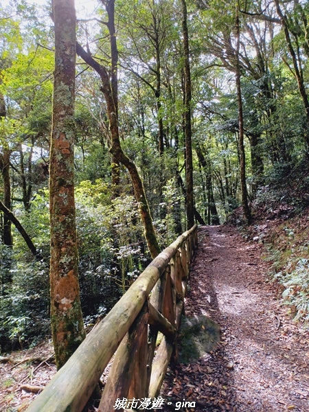 【台中和平】大手牽小手健行趣。No39小百岳稍來山