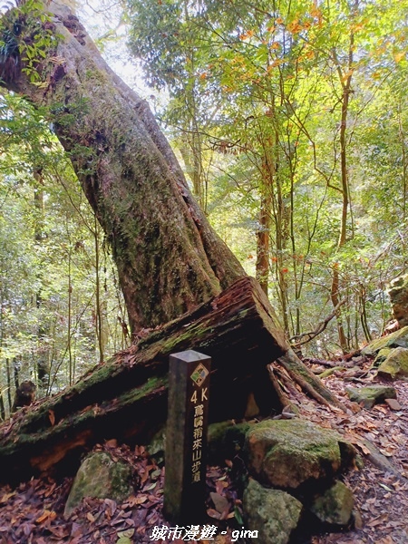 20211127_112750.jpg 20211127_112750.jpg