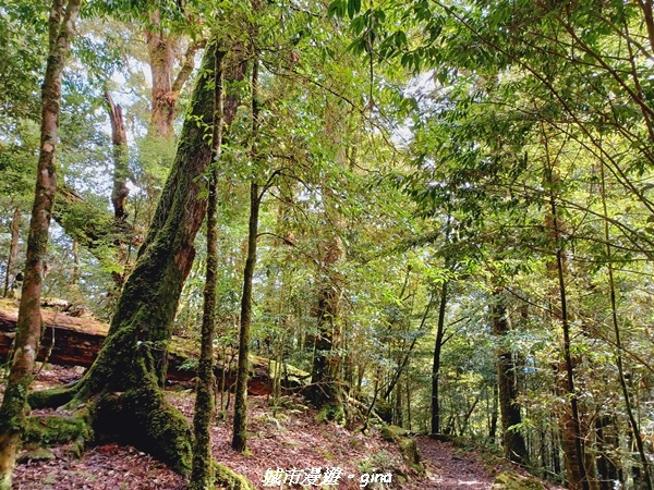 20211127_112635.jpg 20211127_112635.jpg