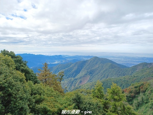 【台中和平】大手牽小手健行趣。No39小百岳稍來山