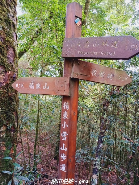 20211127_115552.jpg 20211127_115552.jpg