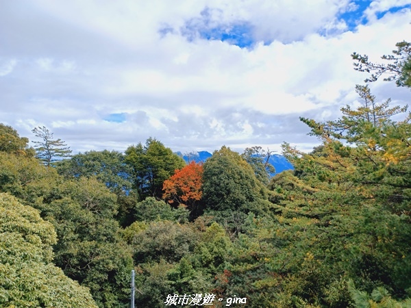 20211127_120443.jpg 20211127_120443.jpg