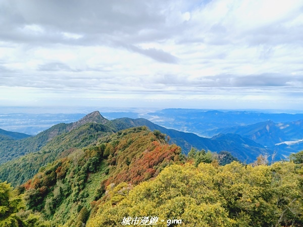 【台中和平】大手牽小手健行趣。No39小百岳稍來山