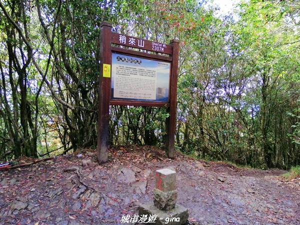 【台中和平】大手牽小手健行趣。No39小百岳稍來山