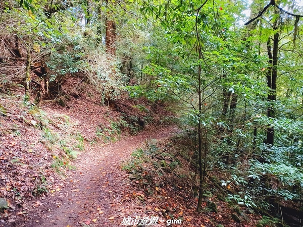 【台中和平】大手牽小手健行趣。No39小百岳稍來山