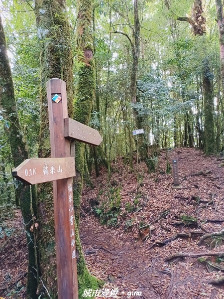 【台中和平】大手牽小手健行趣。No39小百岳稍來山