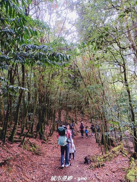 【台中和平】大手牽小手健行趣。No39小百岳稍來山