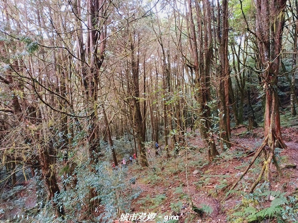 20211127_135242.jpg 20211127_135242.jpg