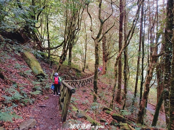 20211127_135056.jpg 20211127_135056.jpg