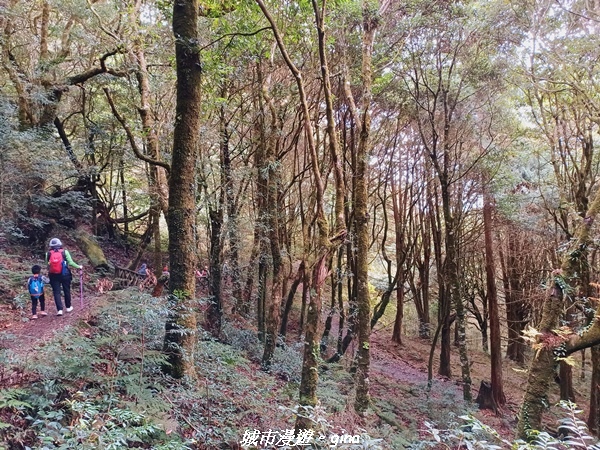 20211127_135035.jpg 20211127_135035.jpg