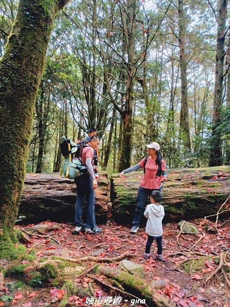 20211127_140051.jpg 20211127_140051.jpg