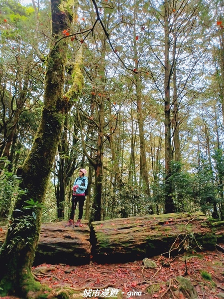 20211127_135956.jpg 20211127_135956.jpg