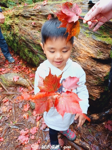 20211127_140327.jpg 20211127_140327.jpg